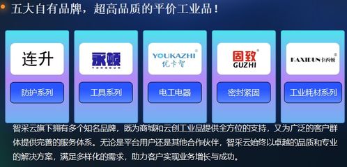 深度解析智采云 工業品平臺的崛起之路
