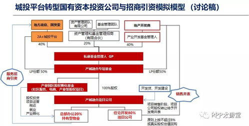 地方政府投融資平臺轉型與債務化解 新基建 管資本 產業引導