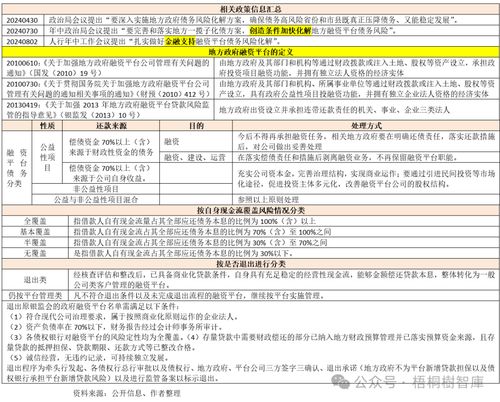 地方融資平臺手冊 2024年版
